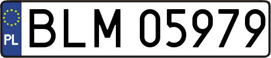 BLM05979