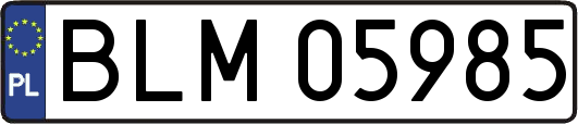 BLM05985
