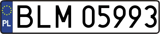 BLM05993