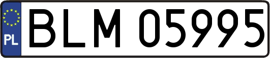 BLM05995