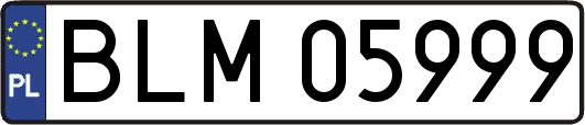 BLM05999
