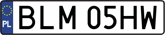 BLM05HW