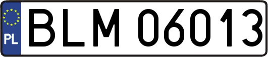 BLM06013