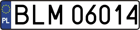 BLM06014