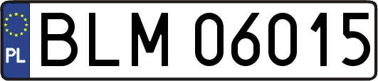 BLM06015