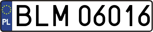 BLM06016
