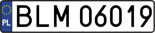 BLM06019