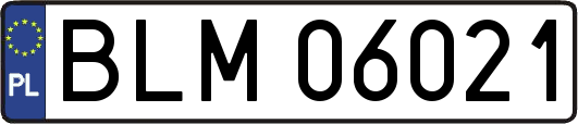 BLM06021