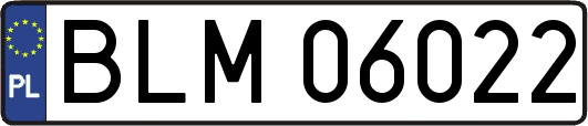 BLM06022