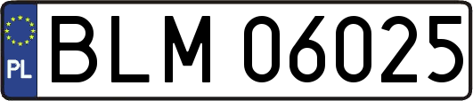 BLM06025