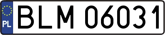 BLM06031