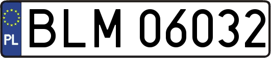 BLM06032