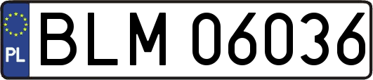 BLM06036