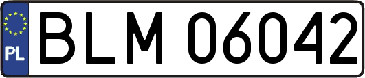 BLM06042