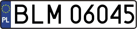BLM06045