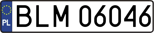 BLM06046