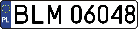 BLM06048