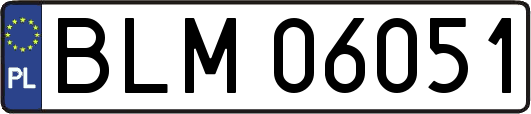 BLM06051