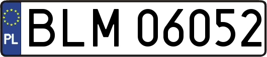 BLM06052