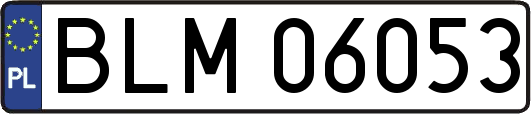 BLM06053