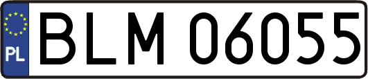 BLM06055