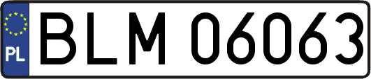 BLM06063
