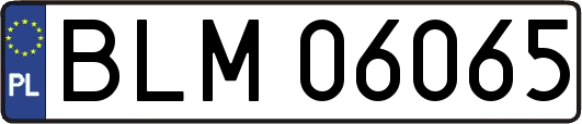 BLM06065