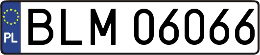 BLM06066