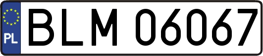 BLM06067