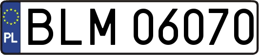 BLM06070