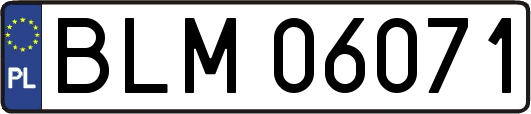 BLM06071