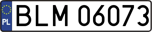 BLM06073
