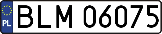 BLM06075