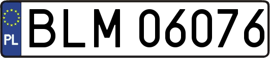 BLM06076