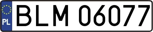 BLM06077