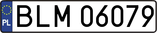 BLM06079