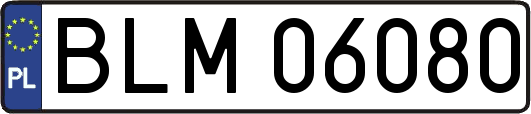 BLM06080