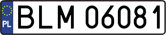 BLM06081