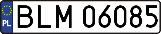 BLM06085