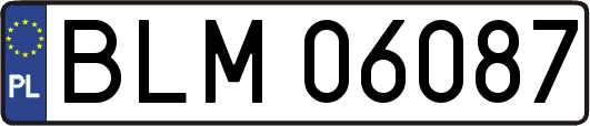 BLM06087
