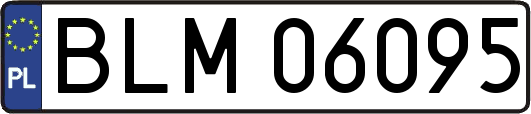 BLM06095