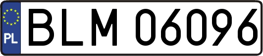 BLM06096