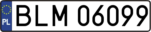 BLM06099