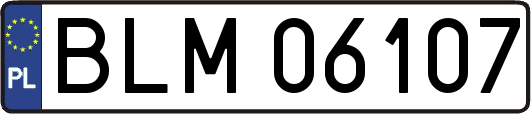 BLM06107