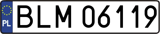 BLM06119