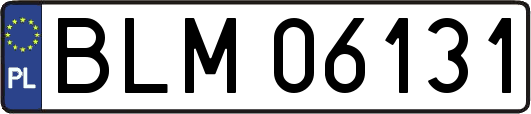 BLM06131