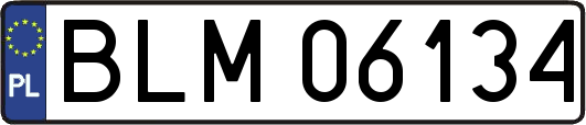 BLM06134