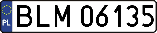 BLM06135