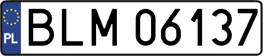 BLM06137