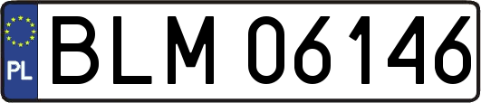 BLM06146